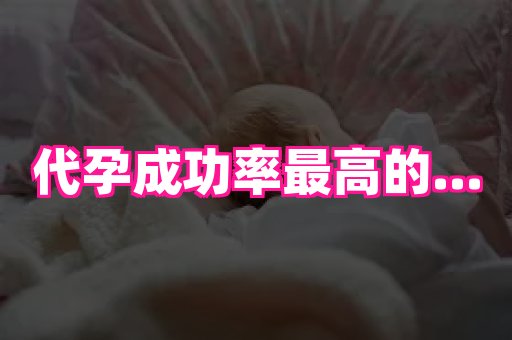 点点助孕网 1