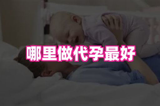 点点助孕网 2